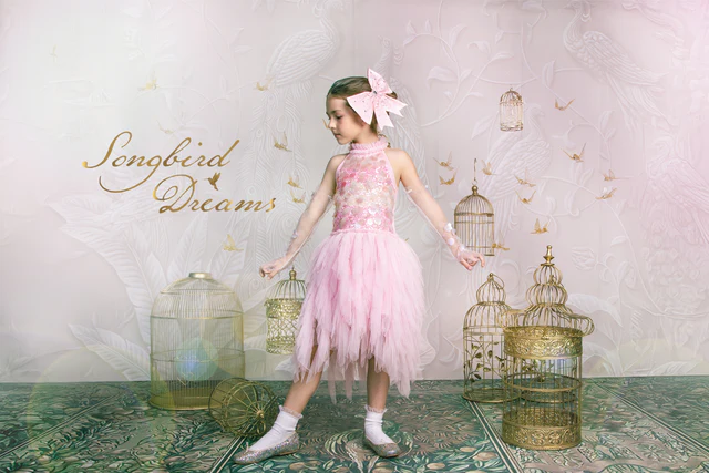 Magical Dresses for Enchanting Moments